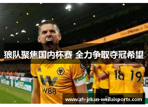 狼队聚焦国内杯赛 全力争取夺冠希望
